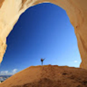 Meet your Posher, Addison